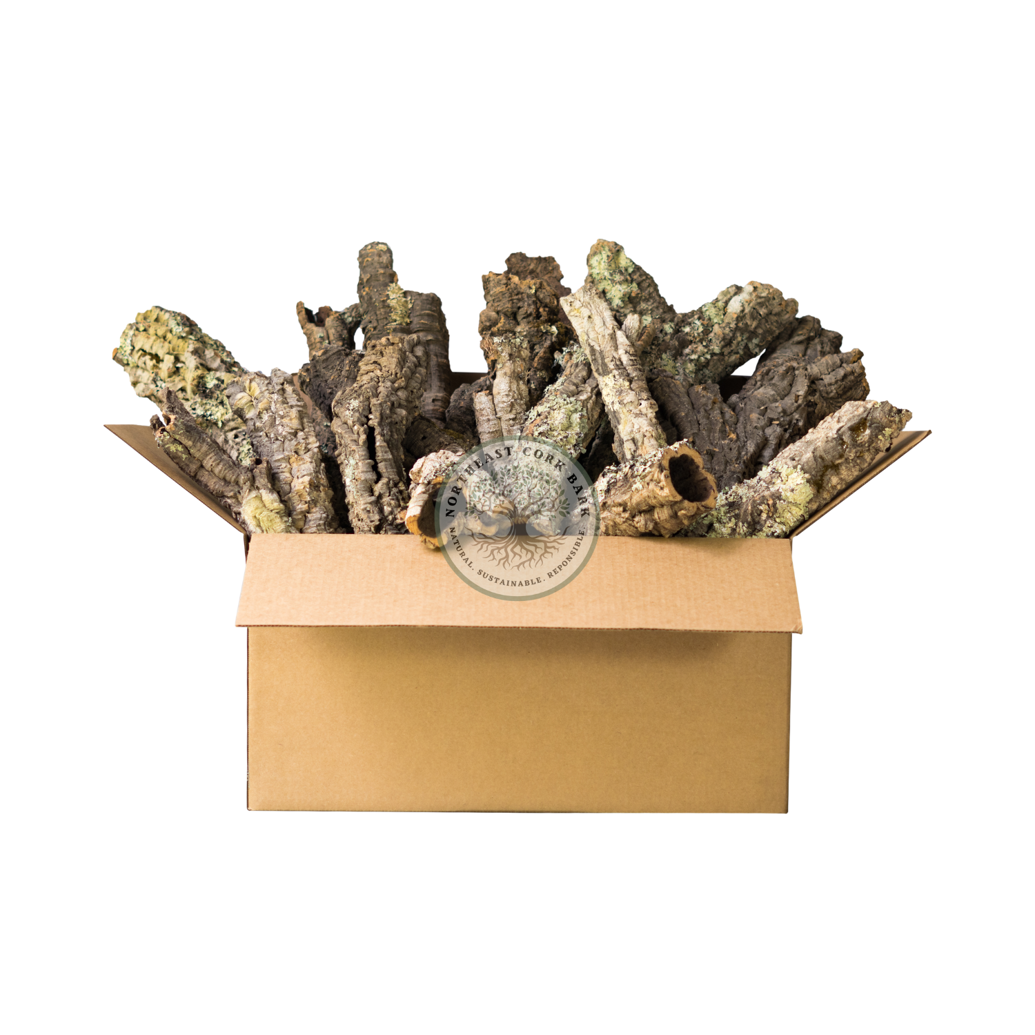 thumbnail image 2 of Homoyoyo 4-Piece Reptile Cork Bark - Natural Terrarium Decor For Lizards & Geckos 2 of 13