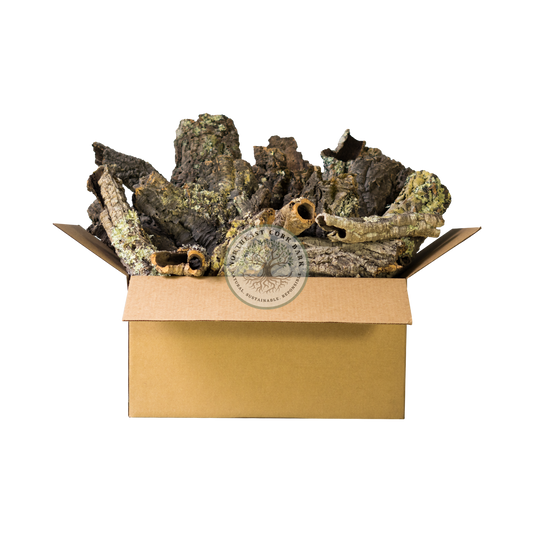 Premium Bulk Box Natural Cork Bark Rounds and Tubes & Flats and Half Rounds (Mix) for Reptiles, Vivariums, and More.