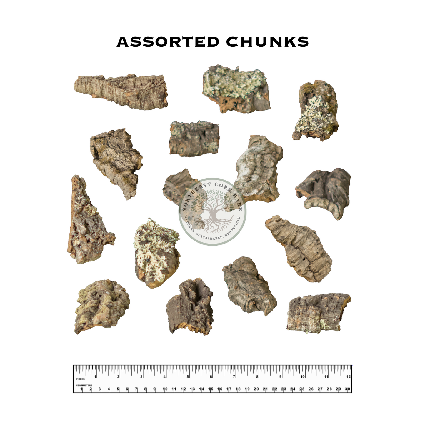 Premium Natural Cork Bark Chunks Sizing Guide for Reptiles, Vivariums, and More.