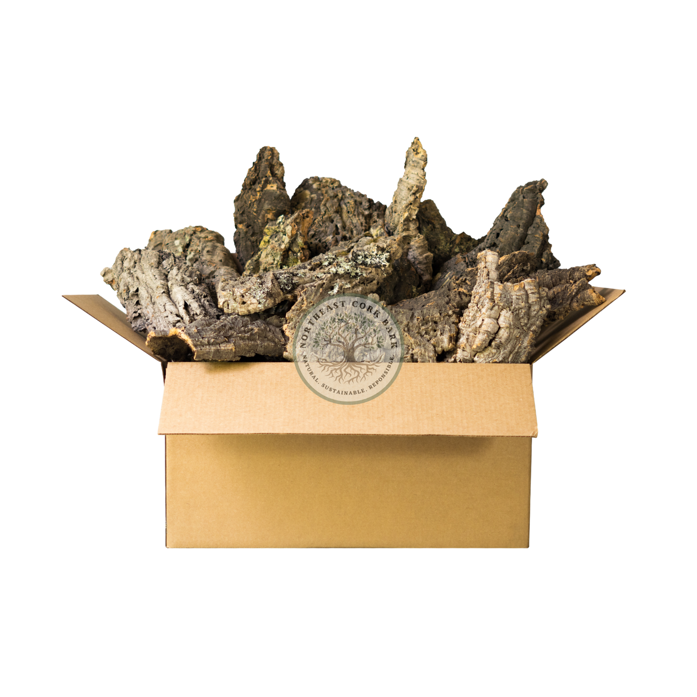 Bulk Cork Bark Flats Natural Cork Bark for Vivariums and More