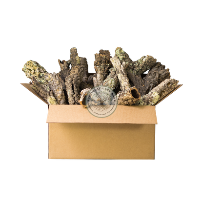 Premium Bulk Box Natural Cork Bark Rounds and Tubes for Reptiles, Vivariums, and More.