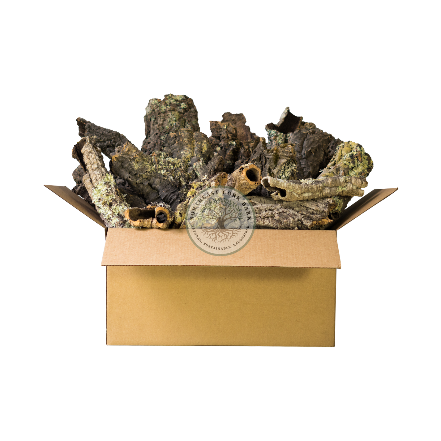 Bulk Cork Bark Rounds & Flats Natural Cork Bark for Vivariums