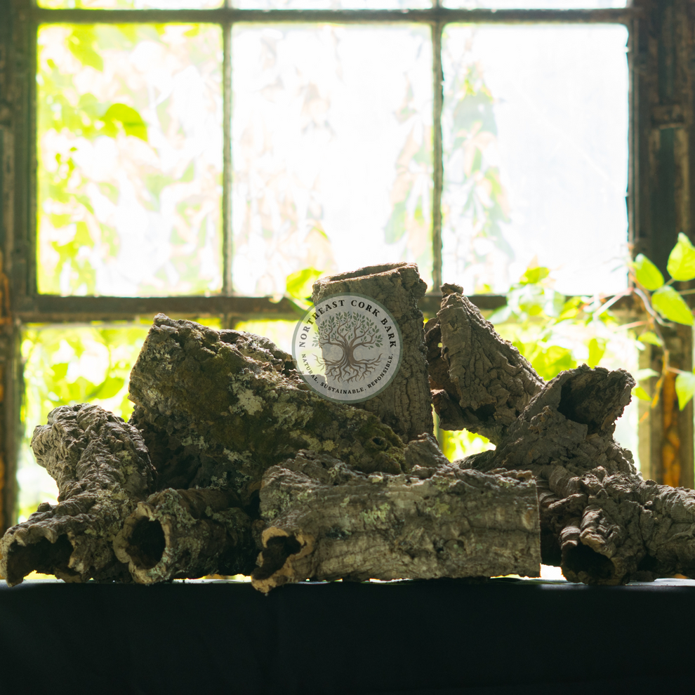 Bulk Cork Bark Rounds & Flats Natural Cork Bark for Vivariums