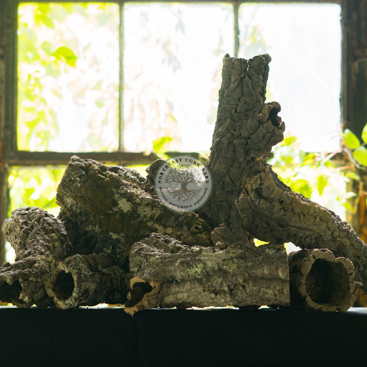 Bulk Cork Bark Rounds Natural Cork Bark for Vivariums and More