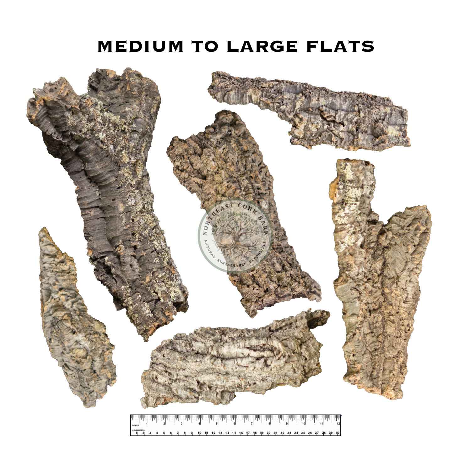 Premium Medium to Large Natural Cork Bark Flats and Half Rounds Sizing Guide for Reptiles, Vivariums, and More.