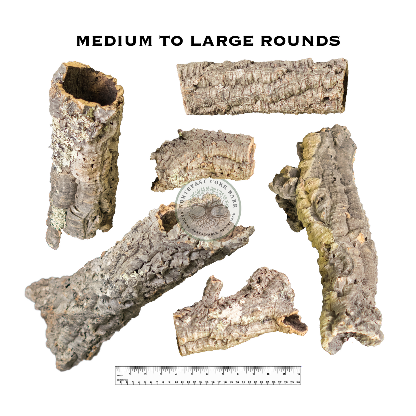 Premium Medium to Large Natural Cork Bark Rounds and Tubes Sizing Guide for Reptiles, Vivariums, and More.
