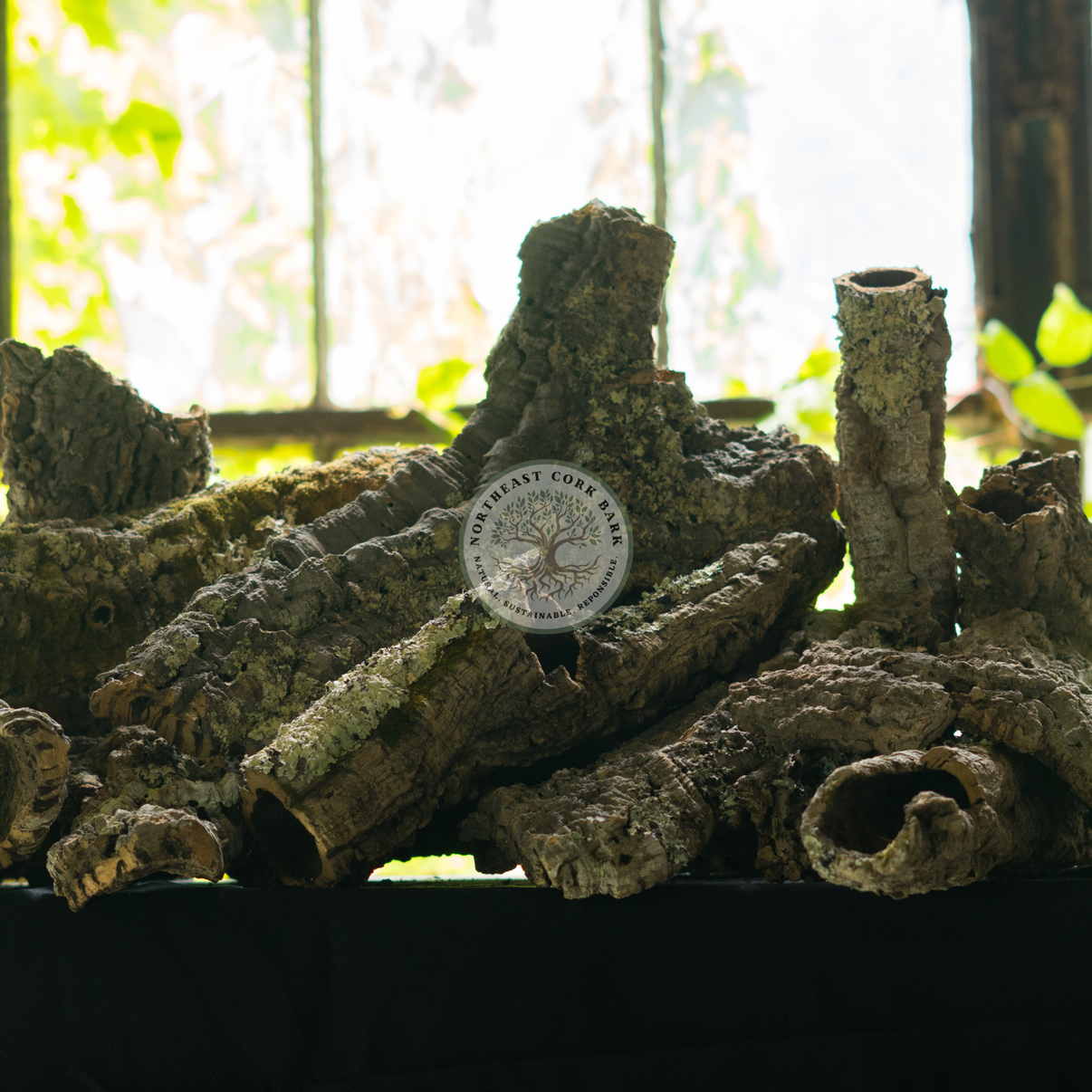 Bulk Cork Bark Rounds & Flats | Natural Cork Bark for Vivariums ...