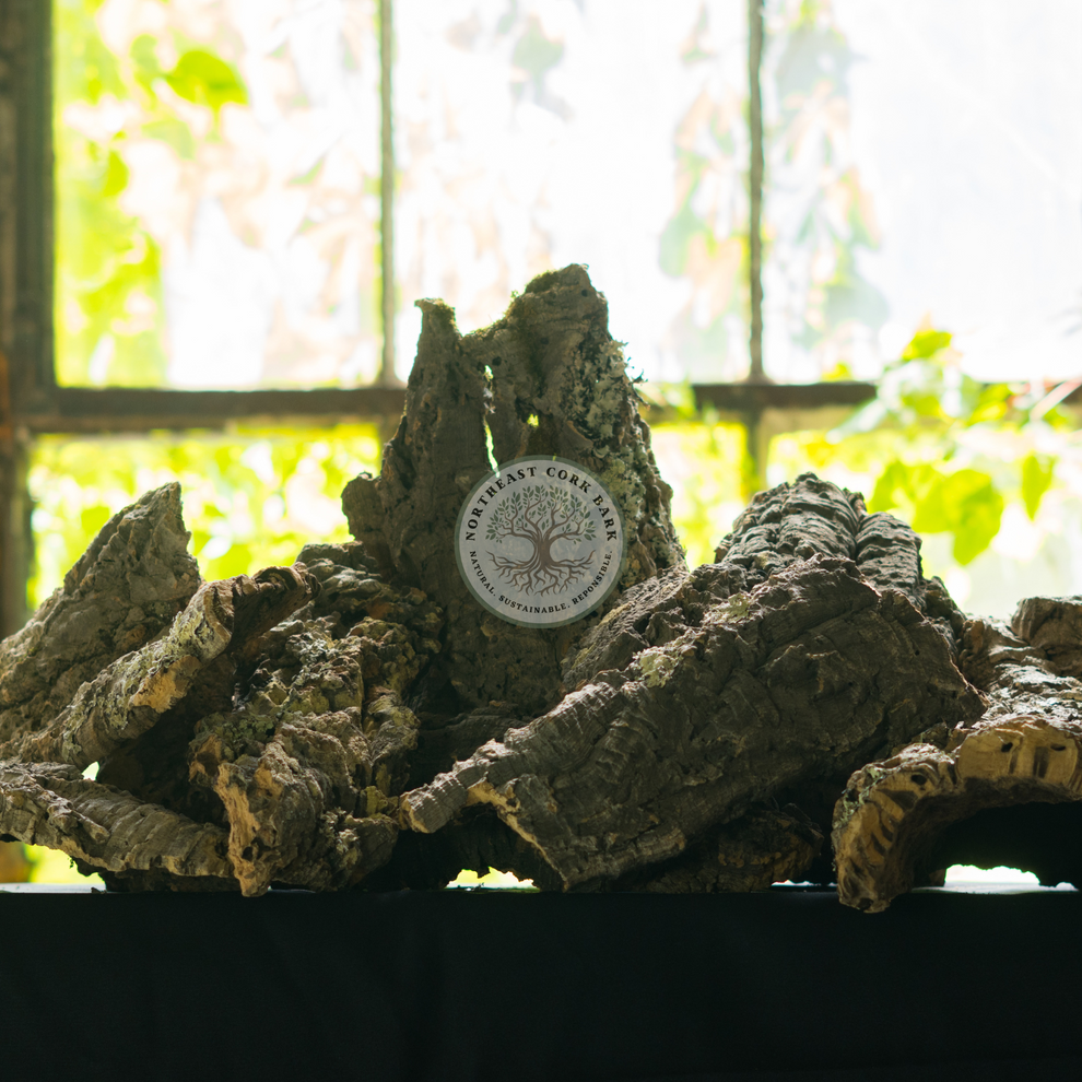 Bulk Cork Bark Flats Natural Cork Bark for Vivariums and More