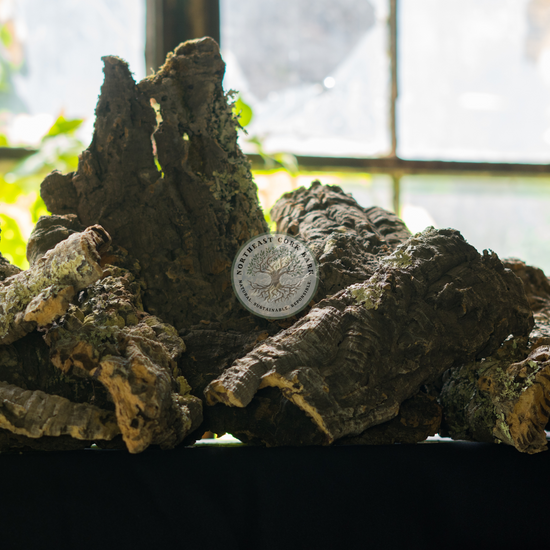 Bulk Cork Bark Rounds & Flats Natural Cork Bark for Vivariums